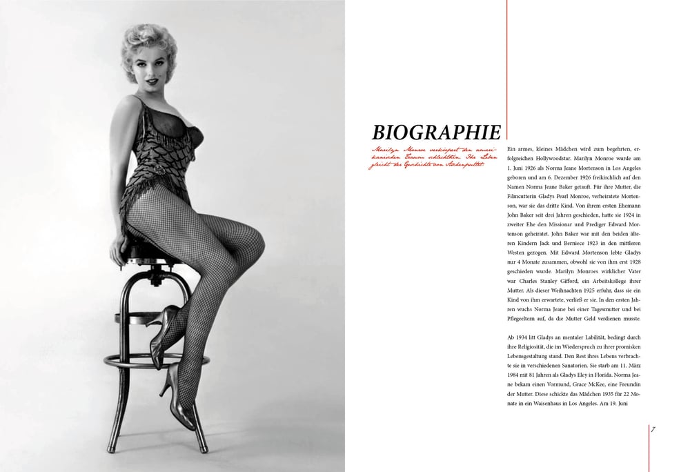 Magazin Milkshake/ Ausschnitte des Layouts