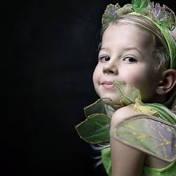 Fairy
