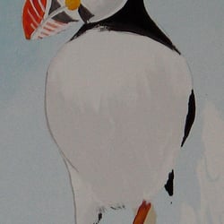 Papageientaucher
