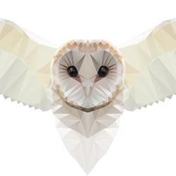 Owl Geometric