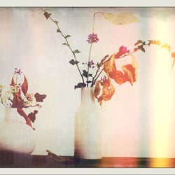 Fine Art
