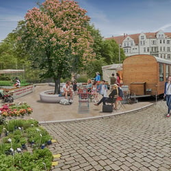 Visualisierung Landschaftsarchitektur Moltkeplatz