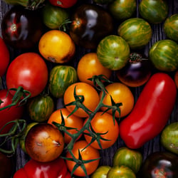 Tomatoes