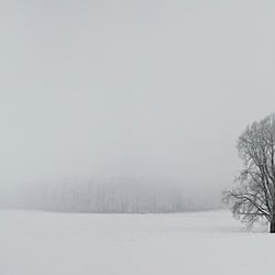 Albhochfläche