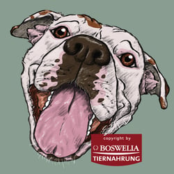 LECKERLI FÜR DEN HUND!