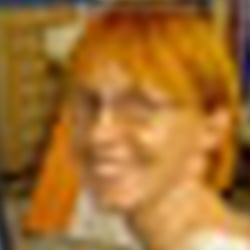 Ausschnitt Startseite von www.gold-ammer.de