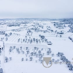 Schneelandschaft