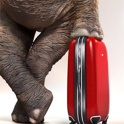 Samsonite
