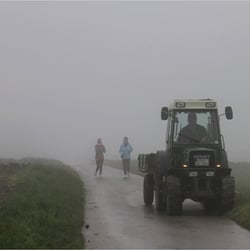 Nebelspaziergang