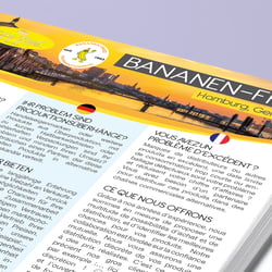 Erstellen, Schreiben und Übersetzung eines DIN A4 Flyers