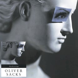 volkerstraeter books
