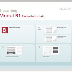 e-Learning Appl. für medizinische Software – Art Direction 2007