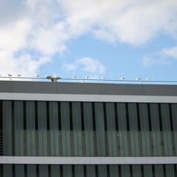 P. Center 2012 – D.T