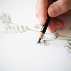 Illustration / Alina Esken
