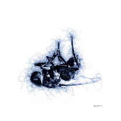 Fluglinien Fotografie mit Grafik