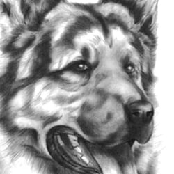 boceto04vr