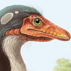 Compsognathus Dinosaurier