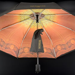 BS-regenschirm-2