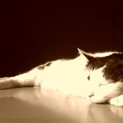 Bastet in Sepia No. 01