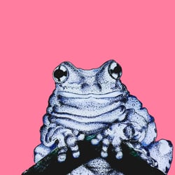 Milk Frog – Digitale Zeichnung