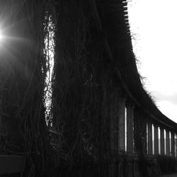 Photos Seite 03