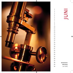 Kalender Innenseite