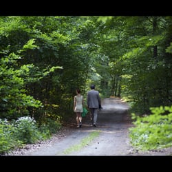 DRAUSSEN DER WALD