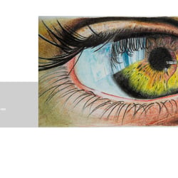 PORTFOLIO 2019 14
