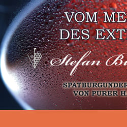 Beispiel Flyer für Weinhandel