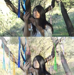 The tree of the wishes