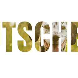 Gutschein Tierfotografie 2