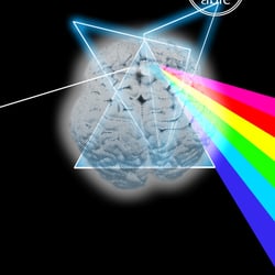 Bott meets Pinkfloyd