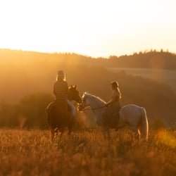 Country meets romance