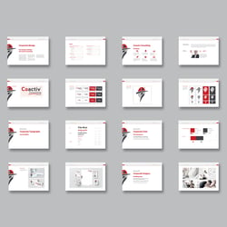 Coactiv Consulting – CD-Leitfaden