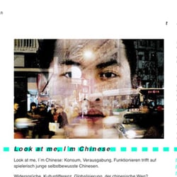 Entwicklung der Webseite http://www.tanzcompagnie-rubato.de