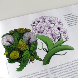 Orchideenkind und Löwenzahnkind