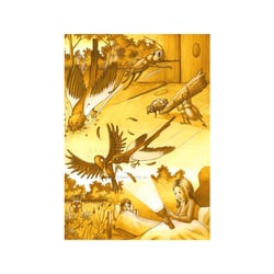 Kinderbuch: Elster