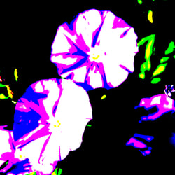 Flower 5 / Blüte 5