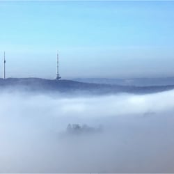 Morgennebel am Götzenberg
