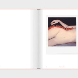 Slanted-Publishers-INSTANT-NUDES 08
