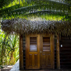 Copal-Tree-Lodge-utagleiser-photography-2019−03−23CK5A6887