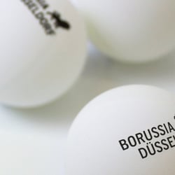 01 Borussia Düsseldorf Corporate Design