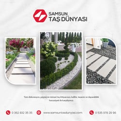 Social Media Design