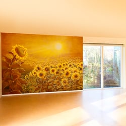 18 Qm Acryl auf Beton 2020