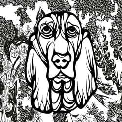 02long eared dog sm