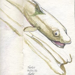 Taxidermy-04