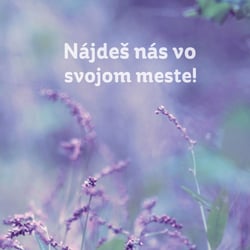Plakat / Herbs in the city