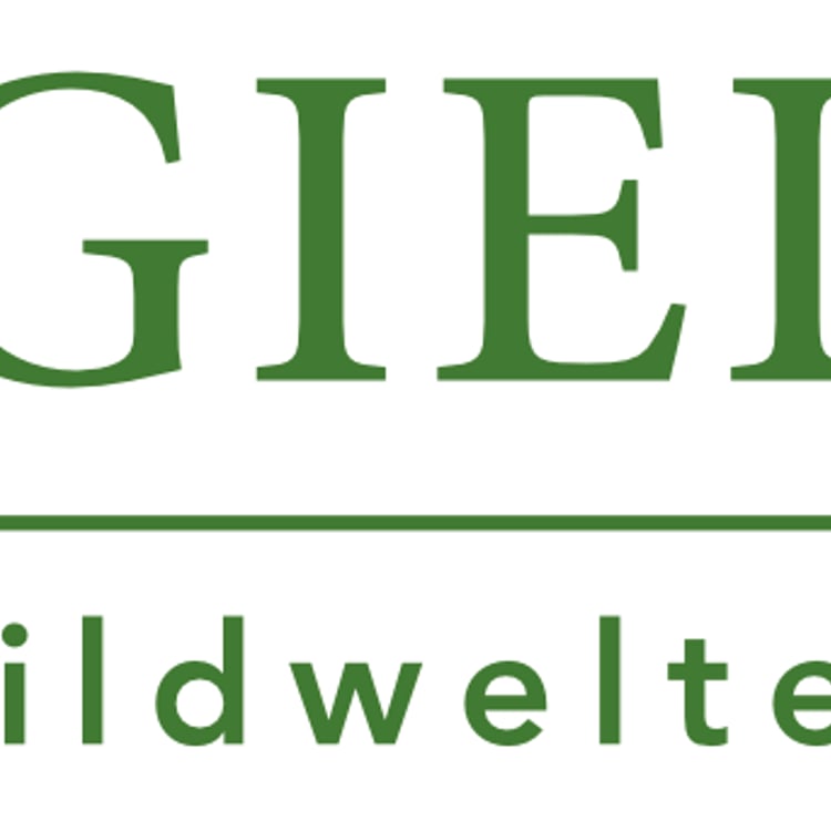 Oliver Giel