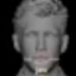 Facial Rigging Maya