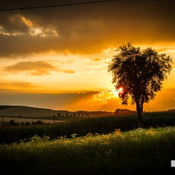 Landschaft